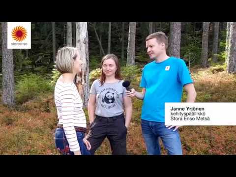 FSC-metsäsertifiointi - mitä se tarkoittaa?