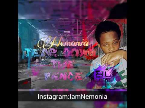 Nemonia - Tear Down D Fence ( Tear Down Riddim ) - Vincy Soca 2016