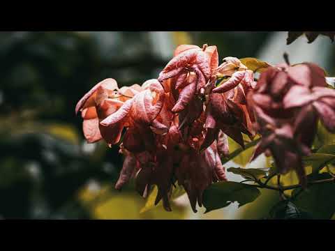 My Photography Samples - Majestic Nature