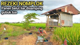 Download lagu WINDFALL BIG ... mp3 Download lagu WINDFALL BIG ... mp3