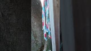 北野山三本松不動院　〜神戸異人館〜