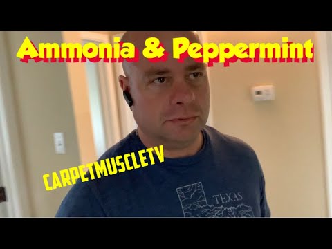 image-Can I use ammonia to clean carpet?