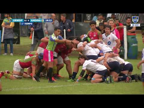 CAMPEONATO ARGENTINO JUVENIL M 17  MAR DEL PLATA   ANDINA 🏉 ZONA ASCENSO   PARTIDO 7 🏆