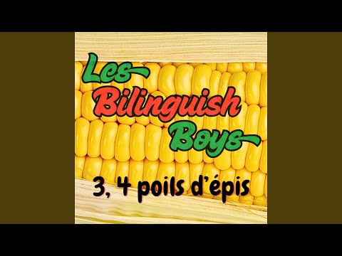 YouTube Thumbnail for Bilinguish Boys