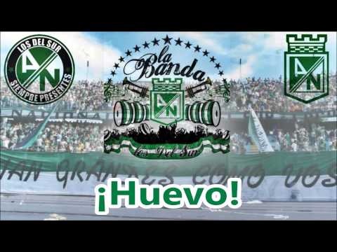 "LA BANDA LOS DEL SUR - Para salir campeones hay que poner mas huevo" Barra: Los del Sur • Club: Atlético Nacional