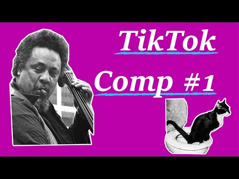 Miles feat Hendrix // Charles Mingus' toilet trained cat // TikTok compilation