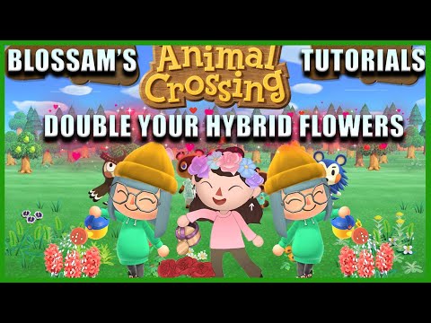 🌷 The Hybrid Flower SECRET to double your RARE Hybrids 🌷