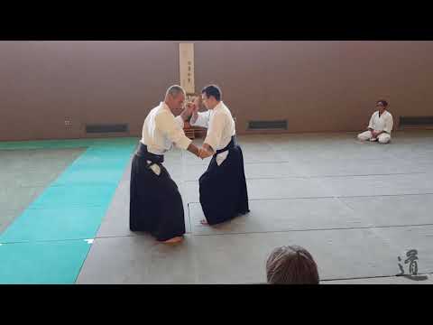 Traditional Aikido Europe - IKKYO NIKKYO SANKYO - Lewis Bernaldo de Quiros