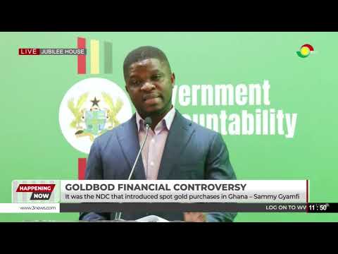 ‘Invite Me to Parliament’ - Sammy Gyamfi Challenges Minority Over GoldBod Loss Claims