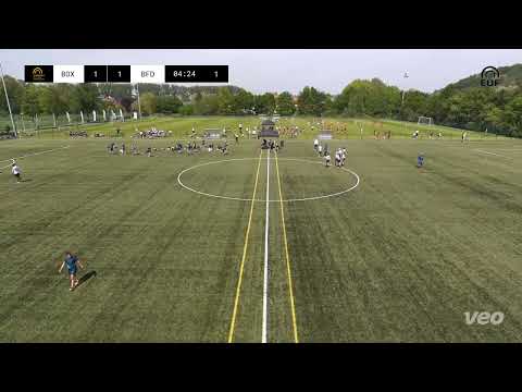 box vienna ultimate – BFD Shout