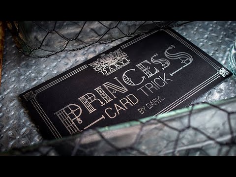 Voir la vidéo Princess Card - Daryl