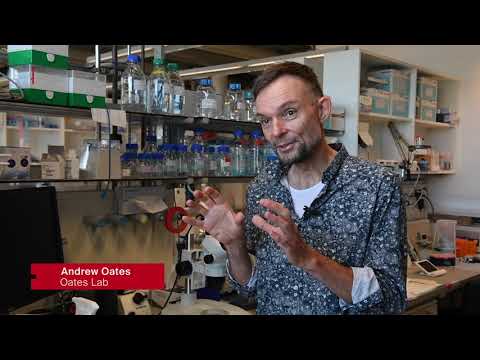 A passion for cycles