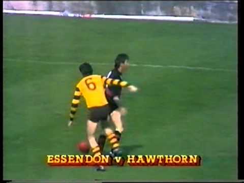 VFL Football Flashbacks : 1987 Hawthorn v Essendon Round 21 VFL Park