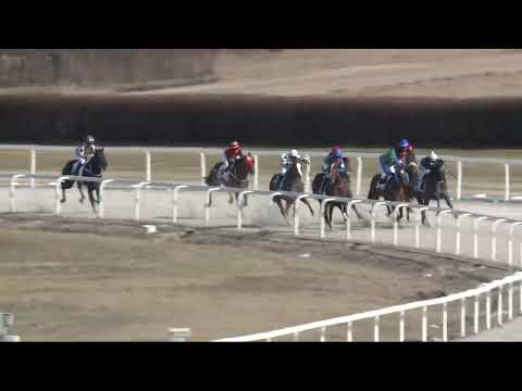 2022.03.20. 02. futam - NYERETLENEK VERSENYE (V.kat.) I. rész (szintetikus pálya)