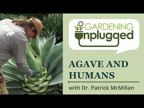 Gardening Unplugged - Agaves and Humans: Mayahuel, Sisal and Pulque  with Dr. Patrick McMillan