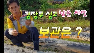 김장무 심고 남은 씨앗 보관은 어떻게 ?  김장무 재배법 김장무 파종시기는  김장배추