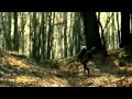 Cain's Offering - Child Of The Wild (Wiedźmin ...