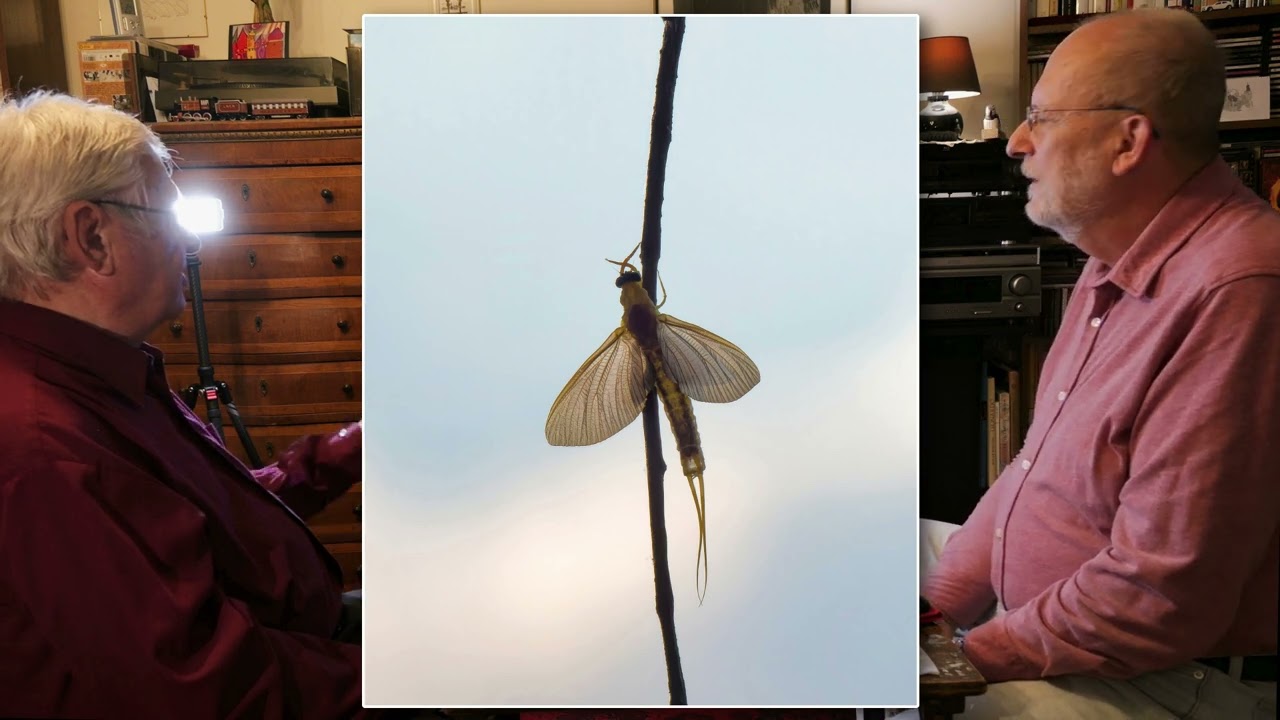 Természetfotósok képértékelés - Molnár Gyulával