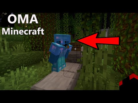 OMA Minecraft EP7 -Tester vores første ansøger til serveren med en Wither boss xD
