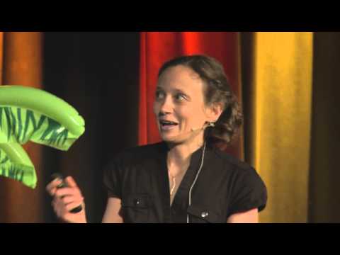 12. Science Slam Karlsruhe - Anastasia August: "Stetigkeit"