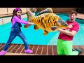 Ellie S Big Fish Rescue Adventure