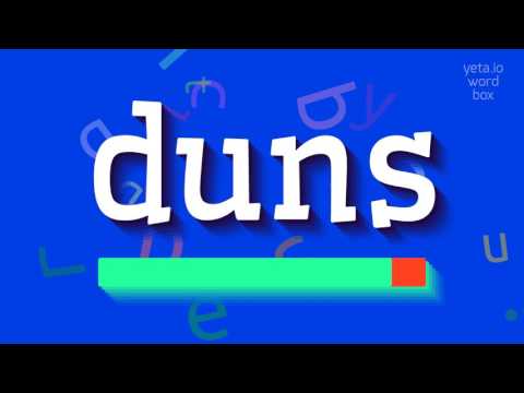 DUNS - HOW TO PRONOUNCE DUNS?