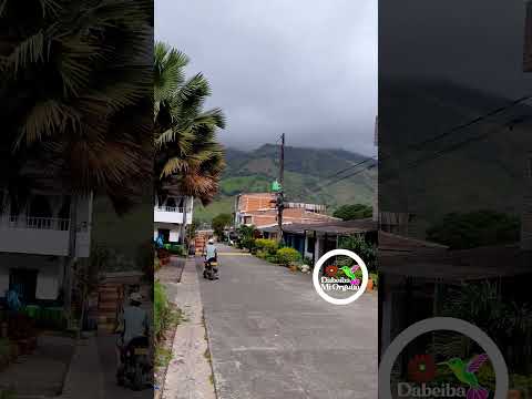 Música de cuerda   🎸 #Dabeiba #Antioquia 🎶 🎵