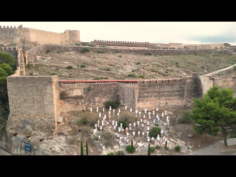 TRĂIM DEPARTE - imnul taberei  DOR (Diaspora Origini România)