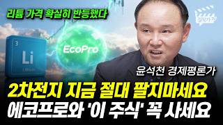 2차전지 지금 절대 팔지마세요, 에코프로와 '이 주식' 꼭 사세요 (윤석천 경제평론가)
