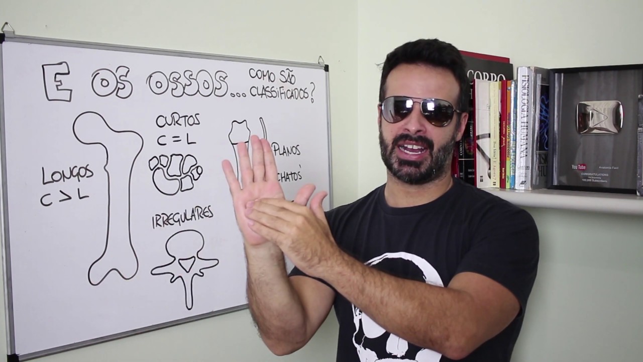 CLASSIFICAÇÕES DOS OSSOS - Minuto da Anatomia #25