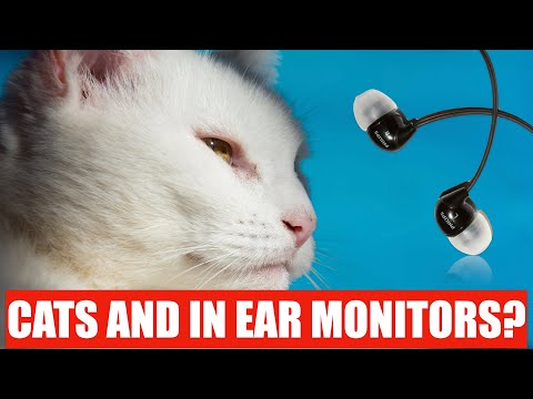 What do CATS have to do with IEM mixing? | In Ear Monitor Key Concepts Explained