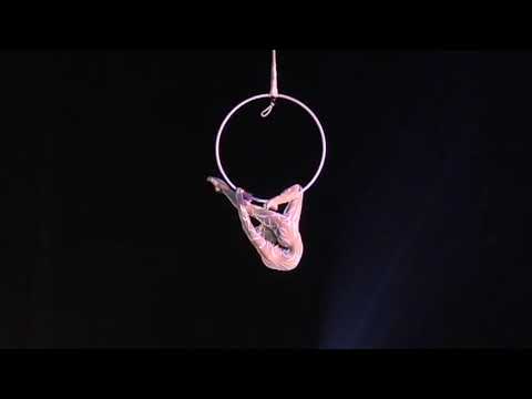 Sabrina Aganier – Aerial Contortion Act on Stage (Full HD)