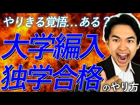 国際経済学科 大学編入独学合格までのステップ7つを解説‼︎【負けるな受験生】