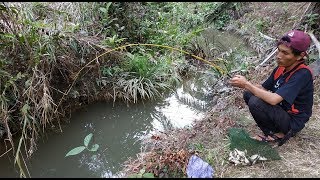 PARIT KECIL INI PENUH IKAN SEKALI LEMPAR LANGSUNG 