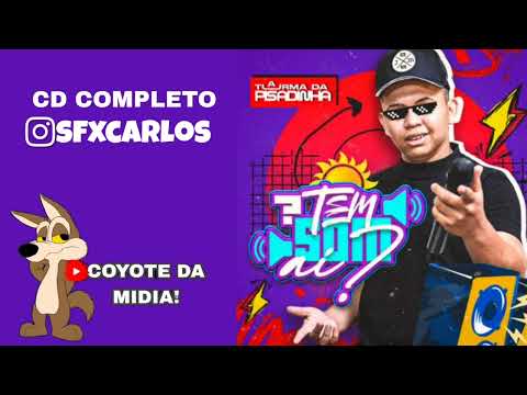 A TURMA DA PISADINHA VERÃO 2023 - CD TEM SOM AI( REPERTÓRIO NOVO DE JANEIRO) DE PISEIRO E PIZADINHA