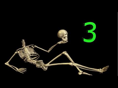 Esqueleto Loquendo 3 - Un día de suerte