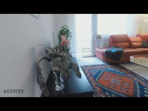 UL-53723 - möblierte 2 Zimmerwohnung in Neu Ulm