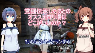 【黒い砂漠】覚醒伝承後の狩り場はどこが良いのか？オススメ狩り場を5段階採点【2021年春版】