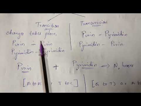 POINT MUTATION BY PHANINDRA GUPTHA