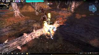 공포의 검오나 vs칼리두스