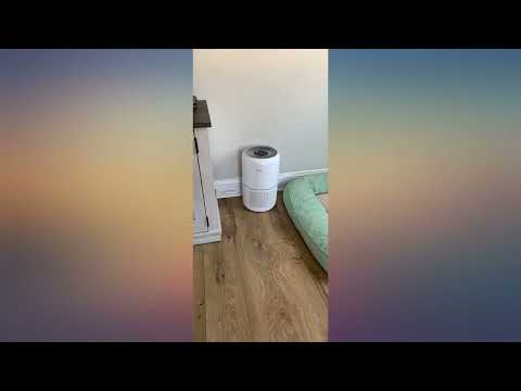 LEVOIT Air Purifier Pet Allergy Replacement Filter, 3-in-1 True HEPA, review