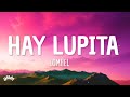 LOMIIEL HAY LUPITA Letra Lyrics