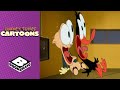 Lights Out Looney Tunes Cartoons Boomerang UK