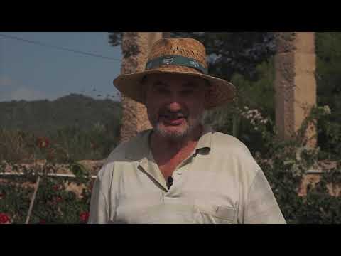 S'hort de s'Horta - Uep IB3