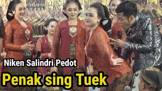 Download lagu Sinden Viral lo Iki..Full Ngakak bersama Cak Percil dan Niken Salindri mp3 Download lagu Sinden Viral lo Iki..Full Ngakak bersama Cak Percil dan Niken Salindri mp3
