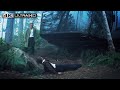 No Time To Die 4K HDR | Forest Fight Scene