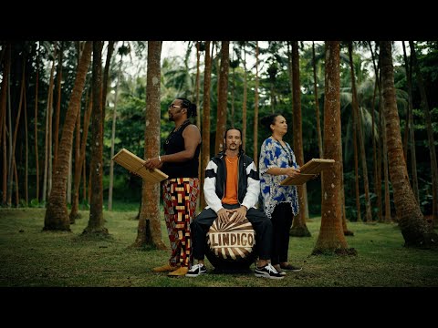 Nineworld - Oubli Pa feat. Lindigo