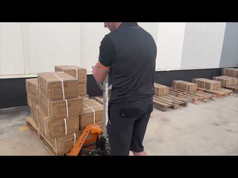 VIDEO    - Pantalón corto hardwork 2025