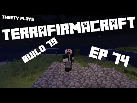 Tweety plays Terrafirmacraft ep 74 - Tooooools!!!