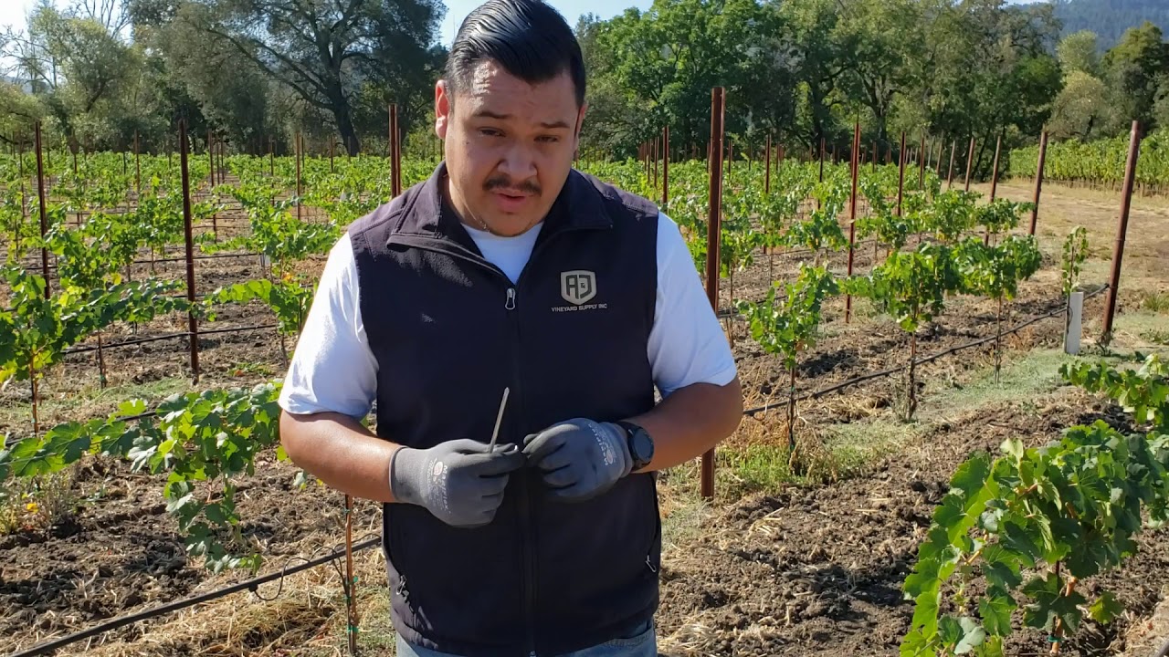 How to install a Fixed Rebar Clip in the vineyard.